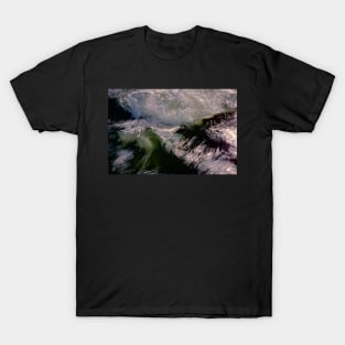 THE WATER DRAGONS OF WALES T-Shirt